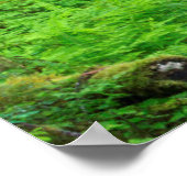 Schilderachtig van oud groeibos poster (Hoek)