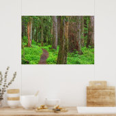 Schilderachtig van oud groeibos poster (Keuken)