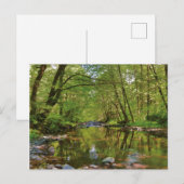 Schilderachtig van Wilson River Briefkaart (Voorkant / Achterkant)