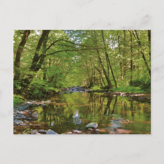 Schilderachtig van Wilson River Briefkaart (Voorkant)