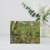 Schilderachtig van Wilson River Briefkaart (Staand voorkant)