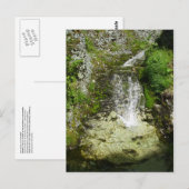 Schilderachtig waterval achter General's Hill Briefkaart (Voorkant / Achterkant)