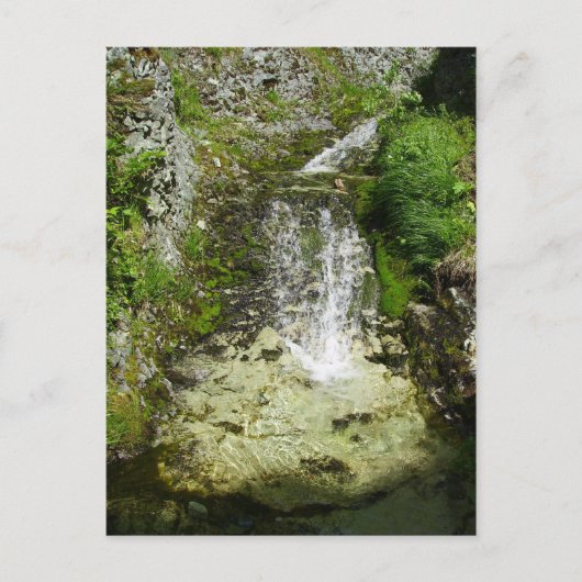 Schilderachtig waterval achter General's Hill Briefkaart (Voorkant)