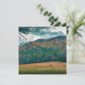 Schilderachtig weide North Carolina (geëtiketteerd Kaart (Staand voorkant)