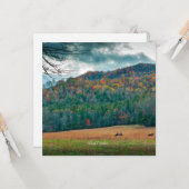 Schilderachtig weide North Carolina (geëtiketteerd Kaart (Voorkant / Achterkant in situ)