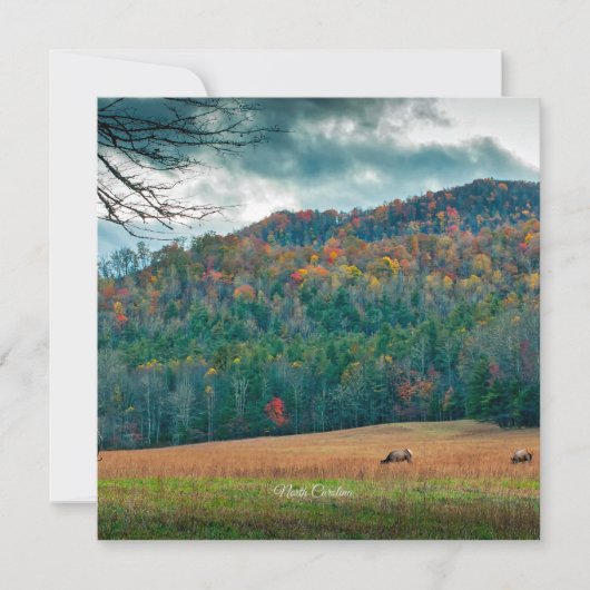 Schilderachtig weide North Carolina (geëtiketteerd Kaart (Voorkant)