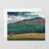 Schilderachtig weide van North Carolina met elk Briefkaart (Voorkant / Achterkant)