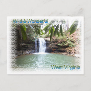 Schilderachtig West Virginia Waterfall Briefkaart