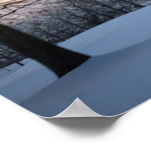 Schilderachtig winterbomen poster (Hoek)