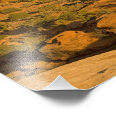 Schilderachtig winterwoestijnlandschap op weg naar foto afdruk (Hoek)