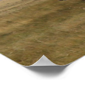 Schilderachtig Wyoming Ranch-Poster Poster (Hoek)