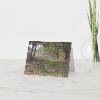 Schilderachtig Zambia Woodland Kaart