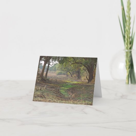 Schilderachtig Zambia Woodland Kaart (Voorkant)