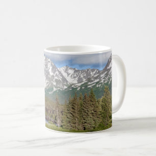 Schilderachtig zeewaarts langs Chugach National Fo Koffiemok