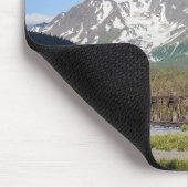 Schilderachtig zeewaarts langs Chugach National Fo Muismat (Hoek)