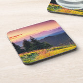 Schilderachtig Zonnegebergte Oerwoud Pijnbomen Her Bier Onderzetter (Linkerzijde)