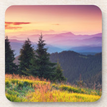 Schilderachtig Zonnegebergte Oerwoud Pijnbomen Her