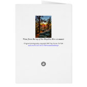 Schilderachtig zonnestelsel/pijnbomen / Mogollon R (Achterkant)