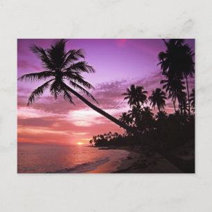 Schilderachtig zonsondergang briefkaart