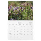 Schilderachtig Zuid-Nevada 2008 Kalender (Mar 2027)