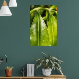 Schilderachtige groene bladerenposter poster