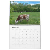 Schilderachtige Seizoenslandschappen Kalender (Mar 2027)
