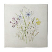 Schilderd conanthera-aanjager Bouquet  script Tegeltje (Voorkant)