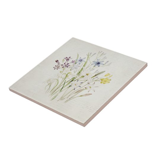 Schilderd conanthera-aanjager Bouquet  script Tegeltje (Zijkant)