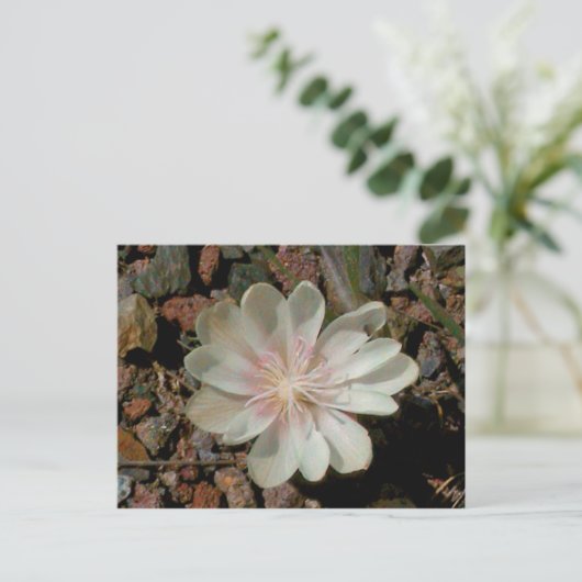 Schilderd woestijnventiel briefkaart (Staand voorkant)