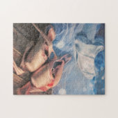 Schilderen balletschoenen en jersey legpuzzel (Horizontaal)