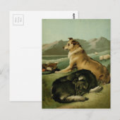  schilderen: Collie Dogs Briefkaart (Voorkant / Achterkant)