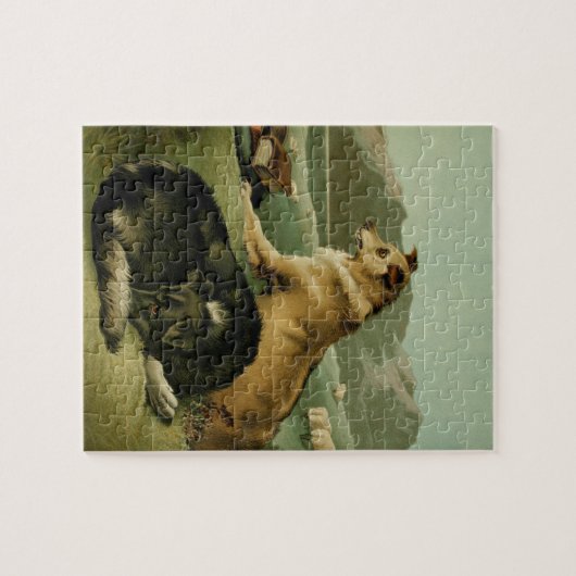  schilderen: Collie Dogs Legpuzzel (Horizontaal)