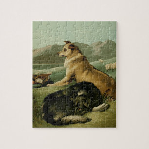 schilderen: Collie Dogs Legpuzzel