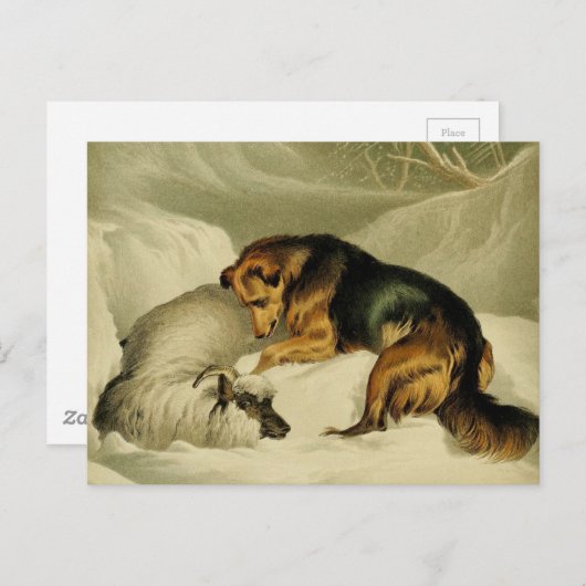  schilderen: Duitse herder in de sneeuw Briefkaart (Voorkant / Achterkant)