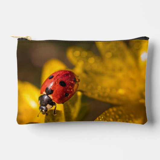 Schilderen Etui (Voorkant)