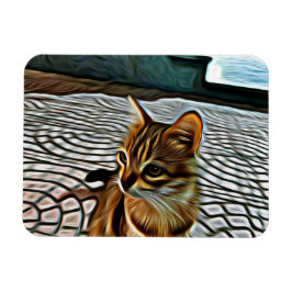 Schilderen mooie kat magneet