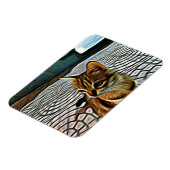 Schilderen mooie kat magneet (Linkerzijde)