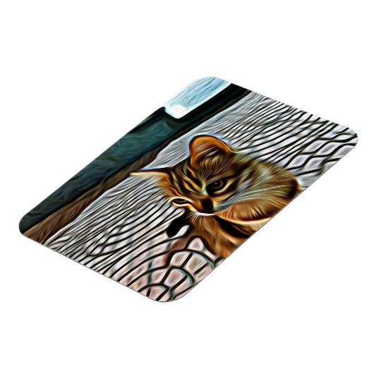 Schilderen mooie kat magneet (Linkerzijde)