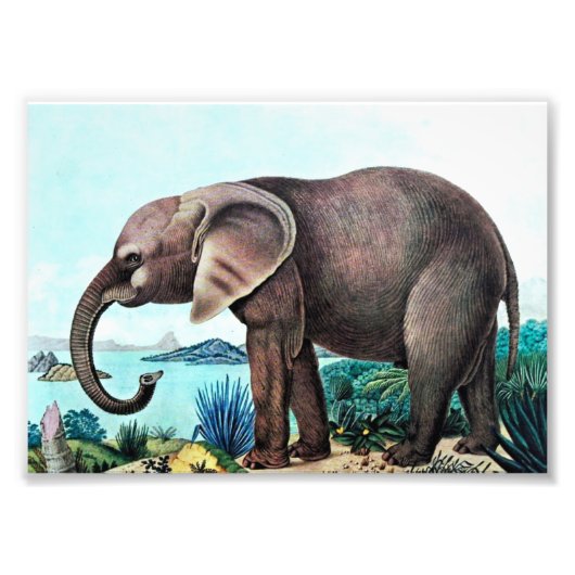  schilderen van Afrikaanse olifanten Foto Afdruk (Voorkant)