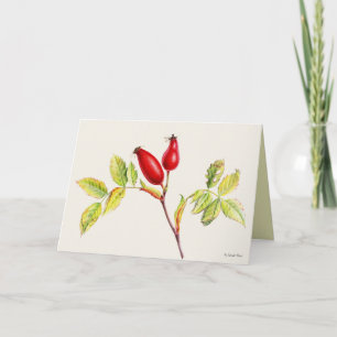Schilderen van botanische waterverf van rosehip fr kaart