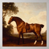 schilderen van de Baai door George Stubbs Poster (Voorkant)