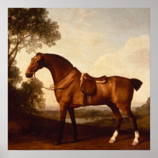 schilderen van de Baai door George Stubbs Poster (Voorkant)