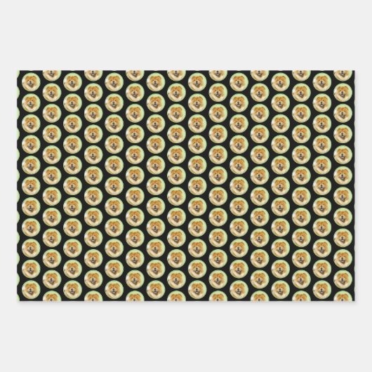 Schilderen van de KNOOPPROGRAMMA'S - Kute Original Inpakpapier Vel (Voorkant 3)