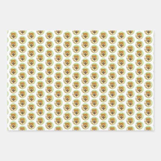 Schilderen van de KNOOPPROGRAMMA'S - Kute Original Inpakpapier Vel (Voorkant 2)