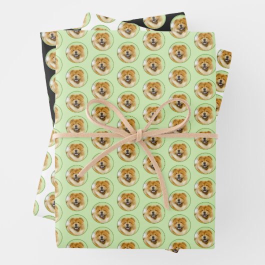 Schilderen van de KNOOPPROGRAMMA'S - Kute Original Inpakpapier Vel (In situ)