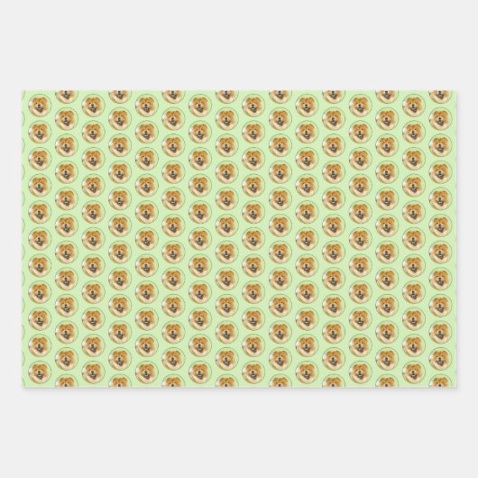 Schilderen van de KNOOPPROGRAMMA'S - Kute Original Inpakpapier Vel (Voorkant)