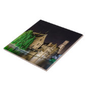 Schilderen van de oude stad Brugge en de toren van Tegeltje (Zijkant)