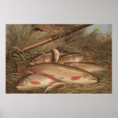  schilderen van de schoorsteenforel (1868) poster (Voorkant)