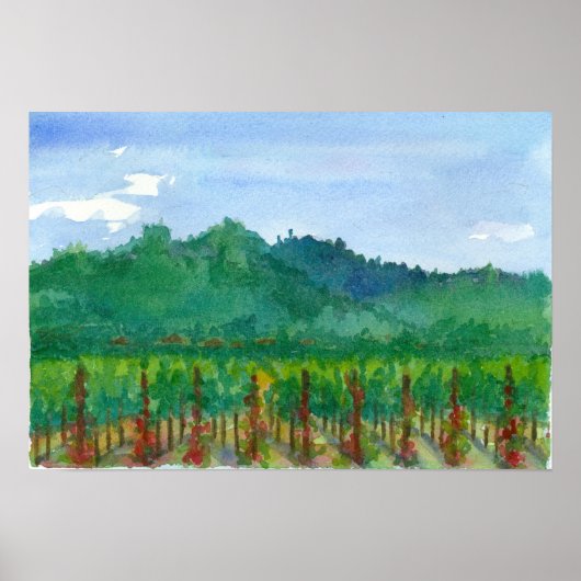 Schilderen van de Waterverf "Napa Valley Vineyard  Poster (Voorkant)