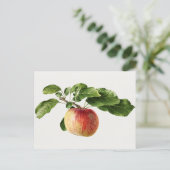  schilderen van de Waterverf van appelfruit Briefkaart (Staand voorkant)